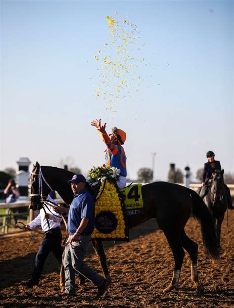 Belmont Stakes picks, trifecta and superfecta bets .